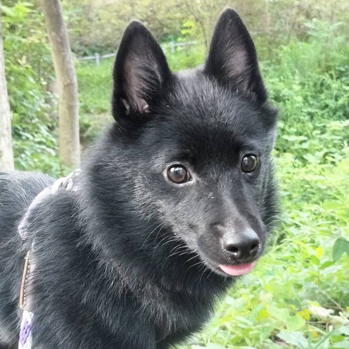 8a824ddd d9c4 464f 8218 afab2edfa077 1755813567808