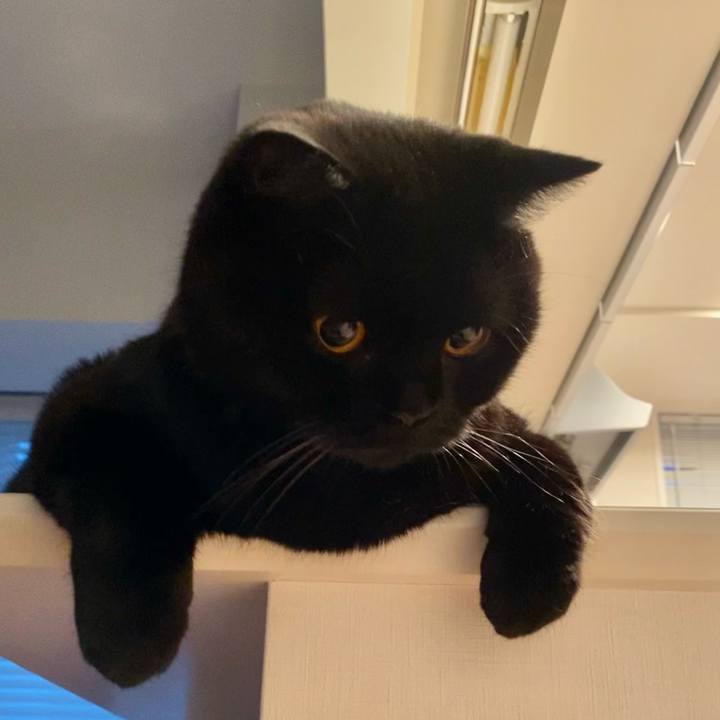 8a82c65b 29f5 4d40 818a 50d4397cfeb4 1624874518153