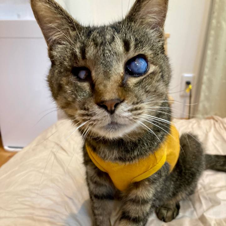 8a82c76d 332e 4dd5 b85e fc519966d2d7 1681551809695