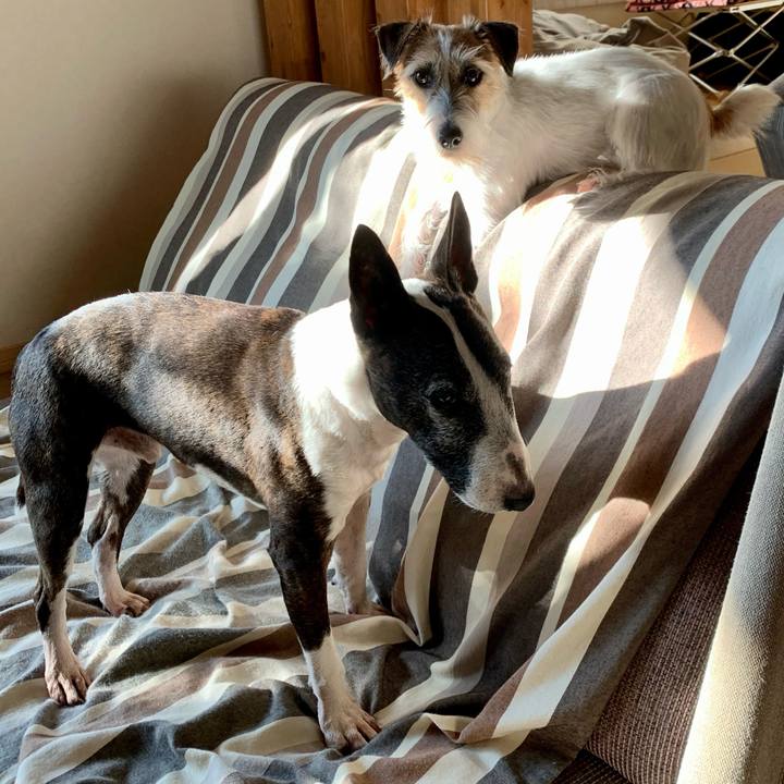 8a82e284 d293 4e93 8c41 c0bef00036ee 1606533471290