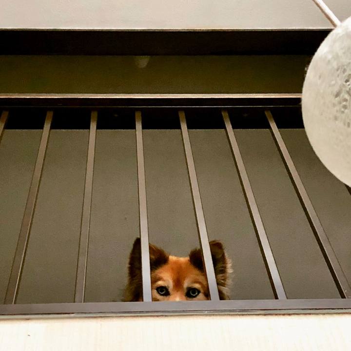 8a83628f 3a86 4300 af5f d62eebd8542e 1527907888208