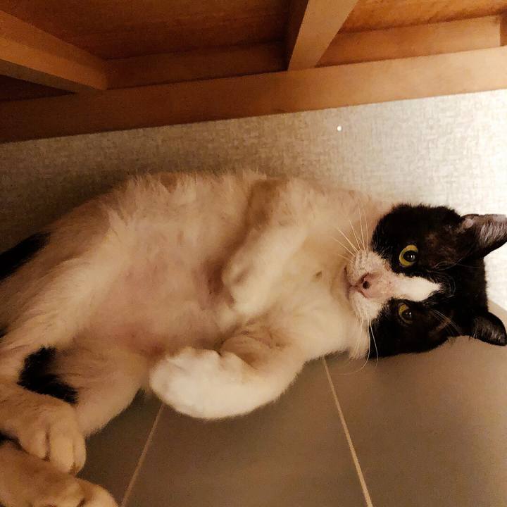 8a837709 d25f 4aeb a877 51fd0d30d690 1634374433534