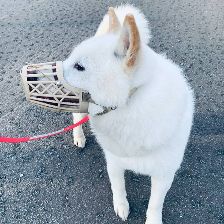 8a83cdb7 517d 431f 9d25 307c7fe8a2ef 1591736294766