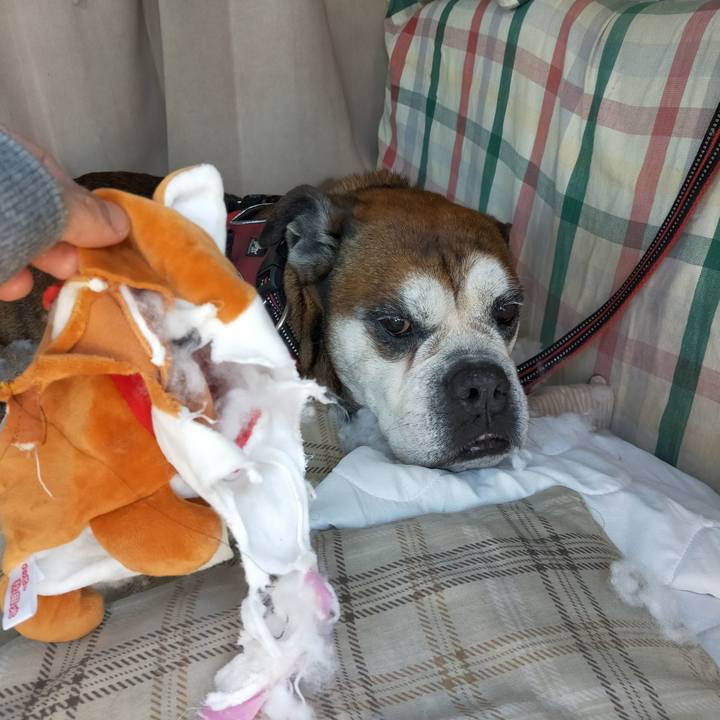 8a83ceb6 a698 4247 ae3e 7aae49c52b1a 1653142122904