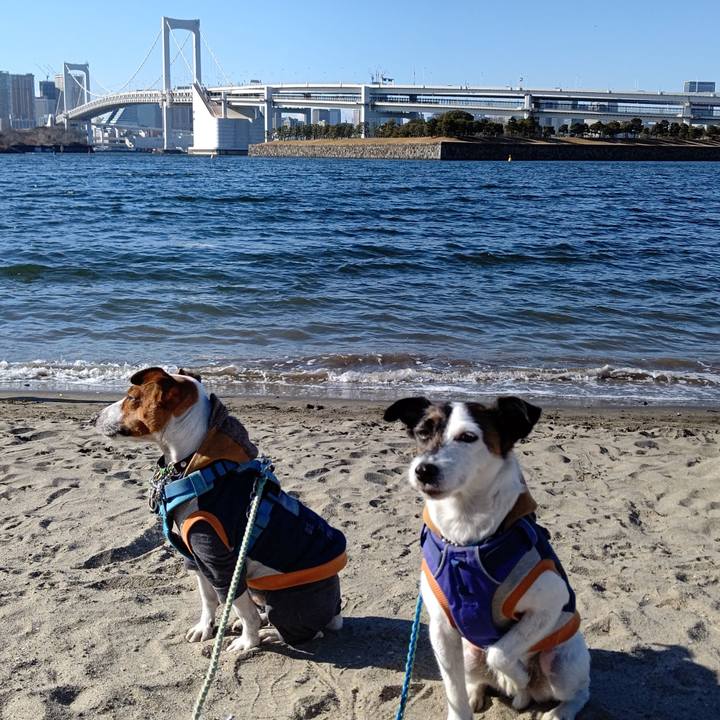 8a83ed97 3f9f 47f7 975c 481cc00dc1d8 1645956752301