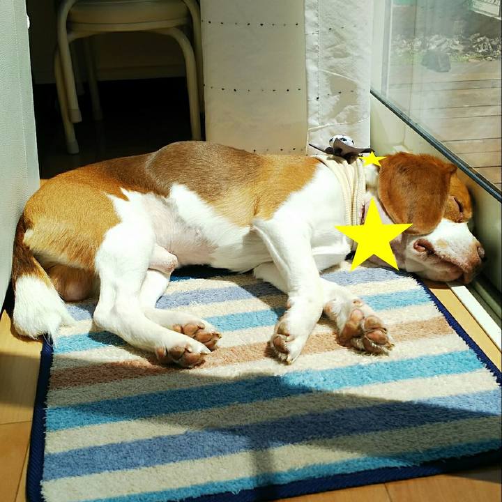 8a841363 4377 4b5b 9abf a821bf94f51e 1524886144989