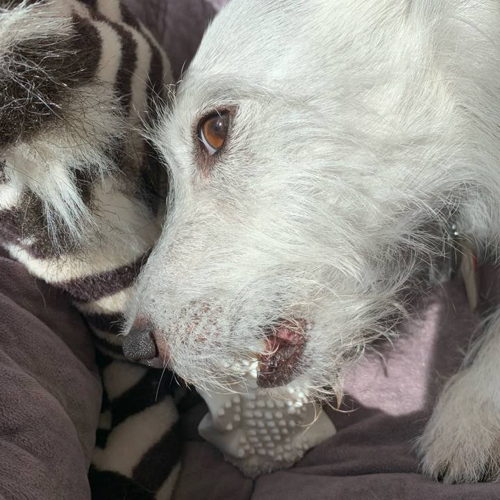 8a8438e5 6c97 49af b919 c385da4eddf7 1633323178344