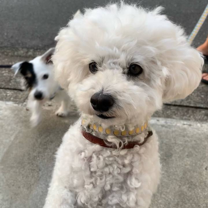 8a8439ba 2e57 4b7a 9e35 d39f3b87a94e 1723971307810