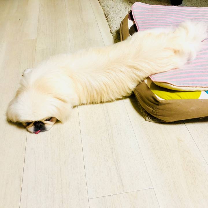 8a844c3a 7ddd 4c4d aa59 5bf0cac6d9ee 1600267540303