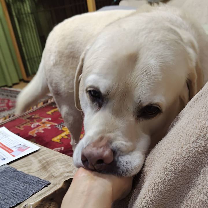 8a847d9e dd6e 443d 9e10 e1d6c1df77bb 1771585959667