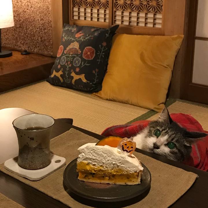 8a84afb4 615a 4022 83d5 e22e83438273 1509118477094