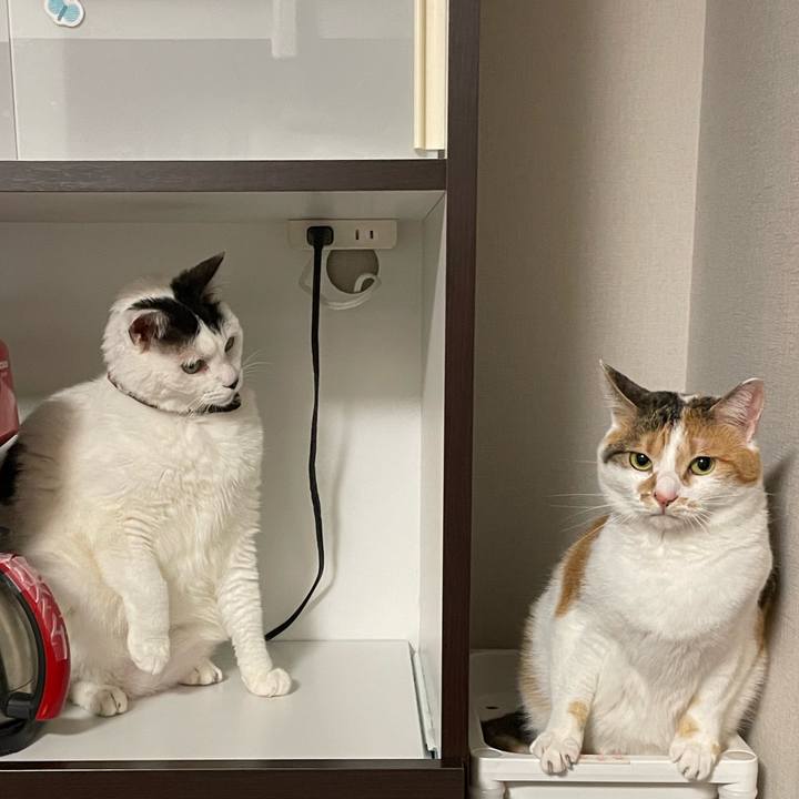 8a84ca51 aca0 4b1c aca0 574bd9c50ed6 1654609167805