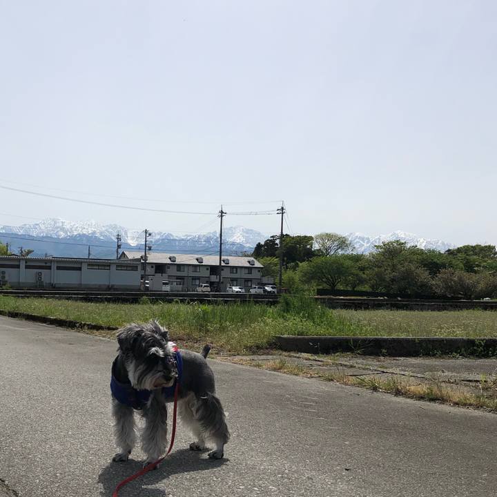 8a85231d be2a 4c69 ab18 bdb7ec06e70a 1620098041246