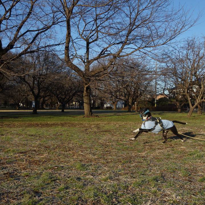 8a8537b6 0239 4c00 82c6 6719fd8d8faf 1640827017276