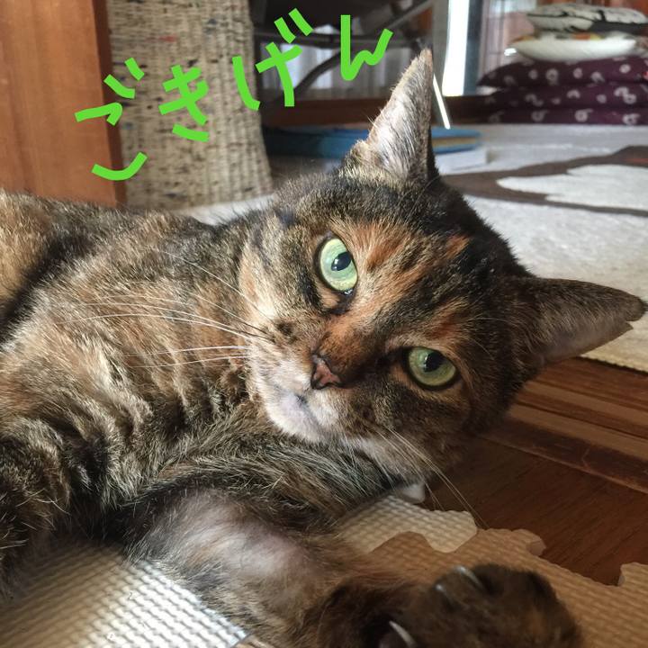 8a8579c9 0718 422b b0cc f26b606b4c6a 1551494690984