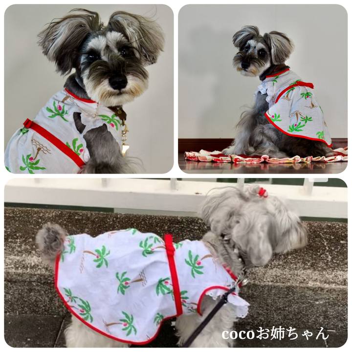 8a85a3a5 a321 4f5f 9ef0 1a13a2cc19d6 1719449712627