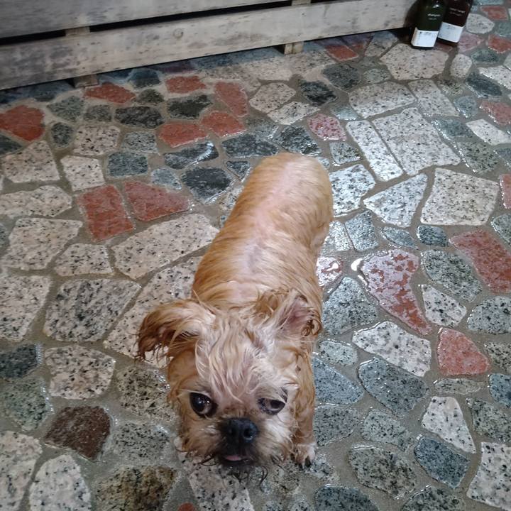 8a85bf4a 364f 4d26 a4d9 b7aa17792234 1603878713577