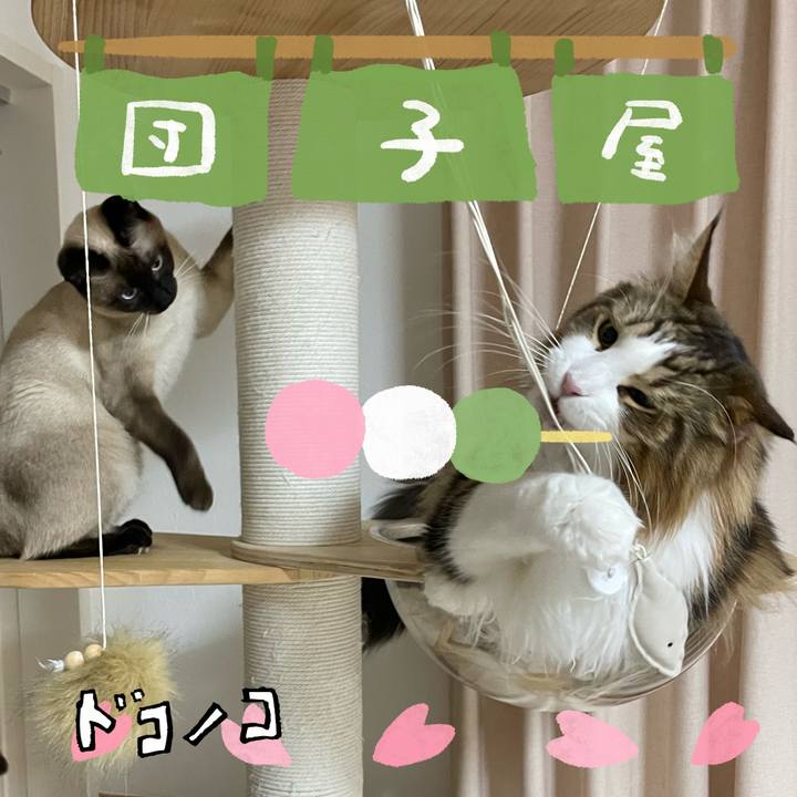 8a862563 b881 4520 9a0d 18b6303bb89a 1712258031226