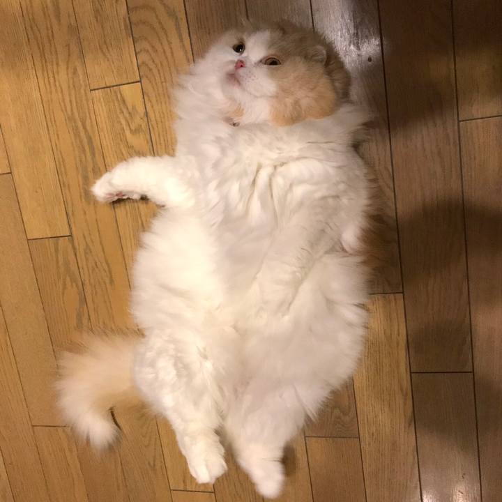 8a8674e9 d254 41fd 8a37 dd99126f039e 1555796349766