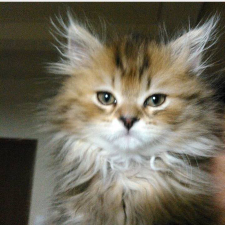 8a86a127 cc5a 43e9 9b18 410a7c2b7a66 1754744543292