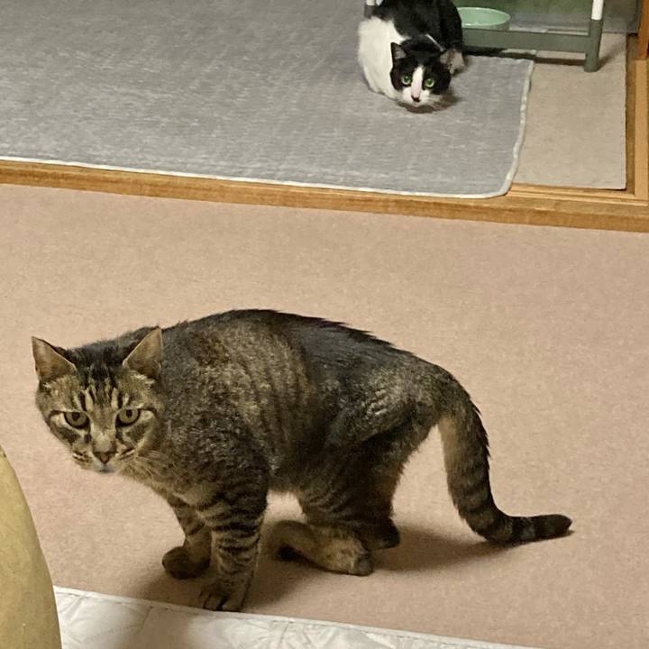 8a86ac2f 9b75 4e95 b1bb 671a8a917f84 1627125814006