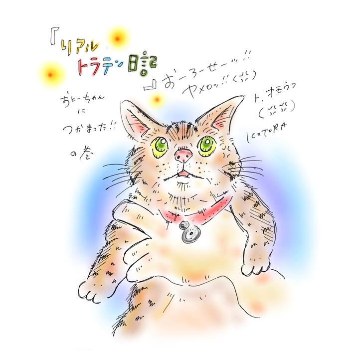 8a86c684 4e5f 4009 9956 7ce63bbcd074 1584734216992