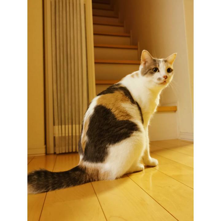 8a86f3c5 169c 4ac6 b7fb 1664348495d5 1661045908625