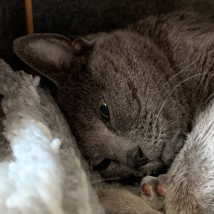 8a87a1e3 5e4f 46ec b0d4 f56a644af640 1680307931959