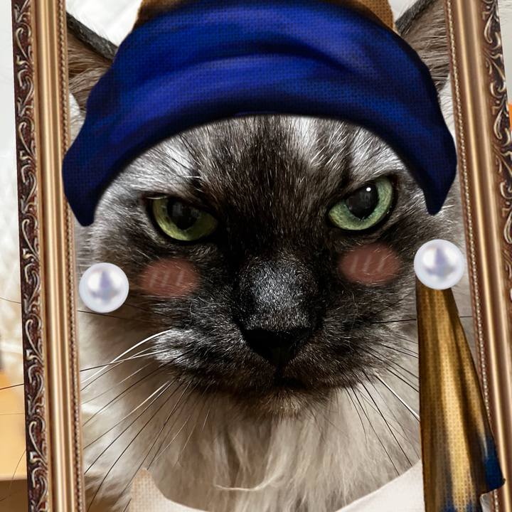 8a87b801 6af2 482e ae49 8cc767410efe 1762059470570