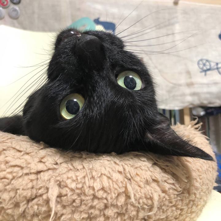 8a87b87d c1a9 4362 b2cc f8b9a7780838 1600855570653