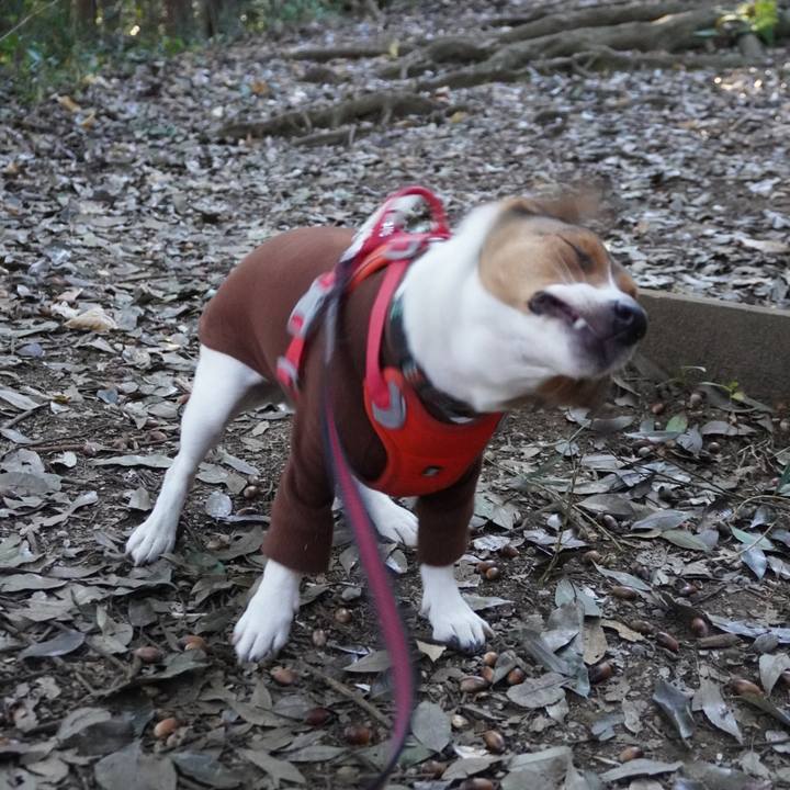 8a87c98c 02ce 43a0 a789 e66f4fb604fc 1765096127753