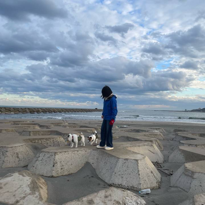 8a880e9c 9c06 433c 99a2 fd5827652b2e 1763165236008