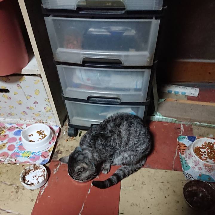 8a88390e a226 464e 9d4c c7587e7adec4 1577483399233