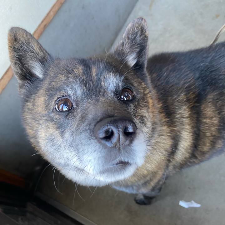 8a886f6a bf85 42ee b3cc 9c643423c791 1617781088486