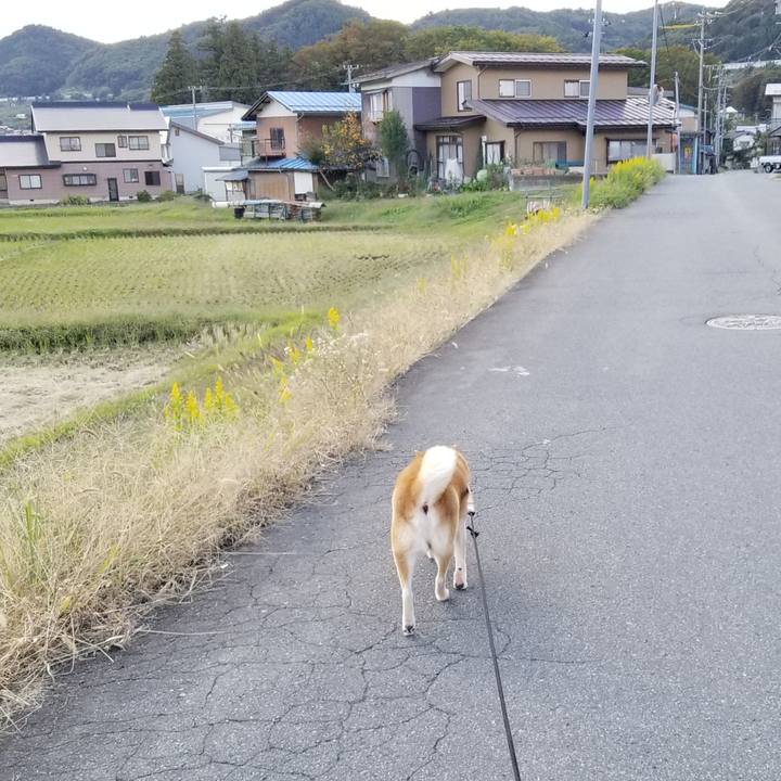 8a88b25e de5e 49e6 88d8 ca04710a49ae 1634889101467