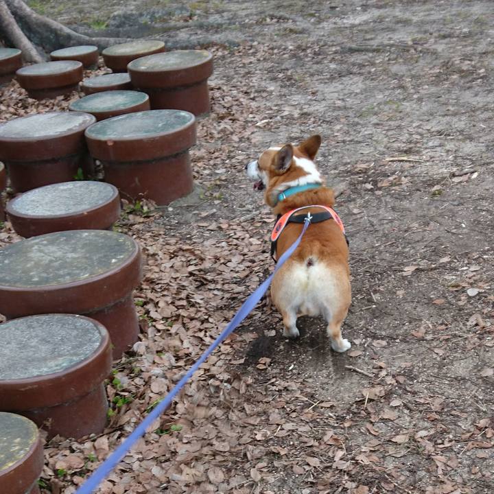 8a88badb a887 4719 bc49 b249e030f201 1673408479909