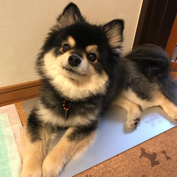 8a88ec7b 1d60 4fb9 8131 1543a2e87c43 1528907626592