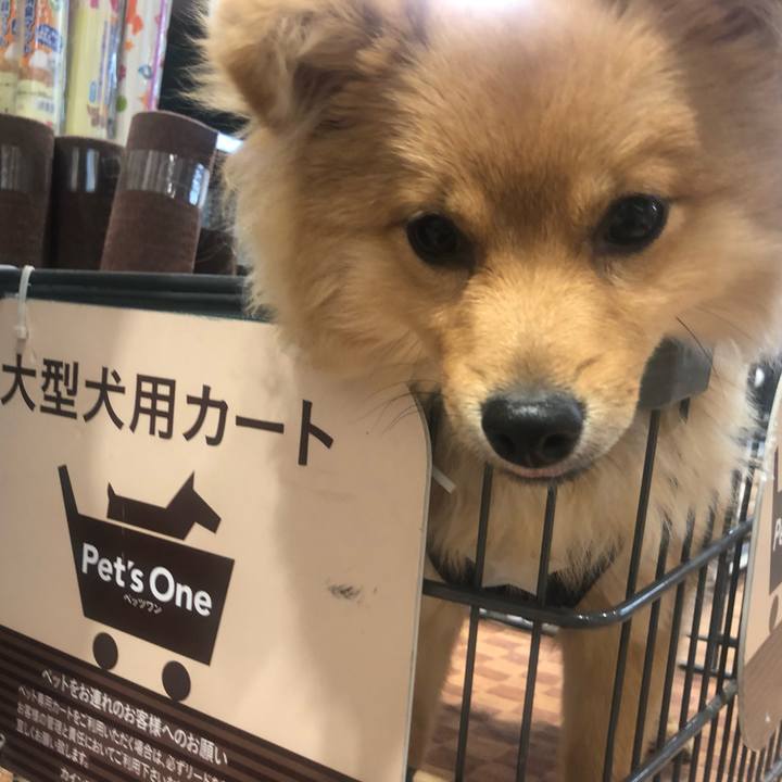 8a88ff13 edda 4d72 aae0 0db873a0c311 1586066014053