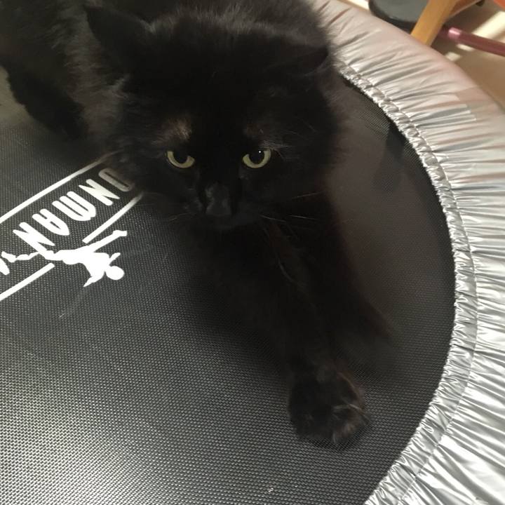 8a892381 3007 4ad3 83f9 135def6ba8fc 1553509624761