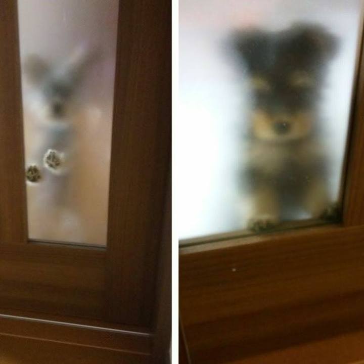 8a895837 0df0 4669 96e0 c10490fbd58d 1537234795961