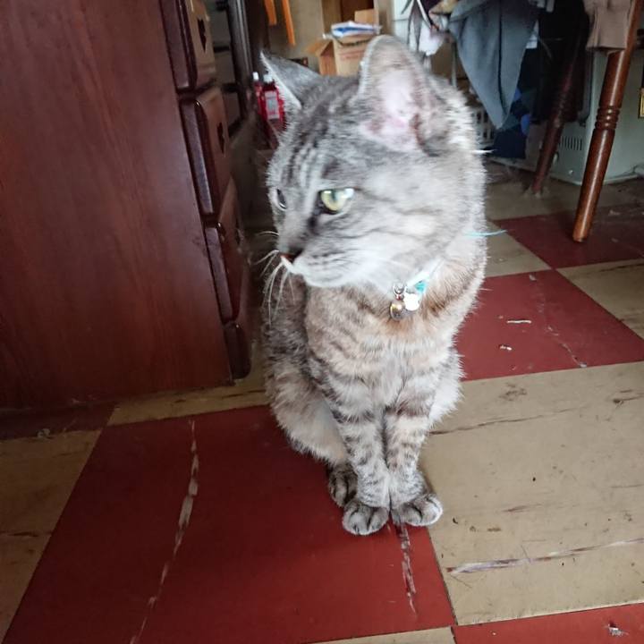 8a895a39 76cb 4d9d bf4f 6046a7c377f0 1569037997192