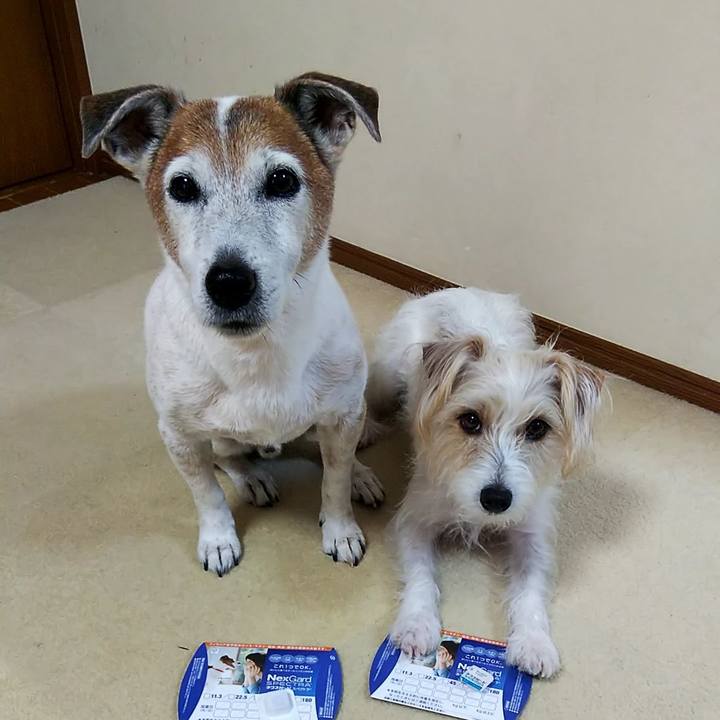 8a8976da 0b1b 450b 89a5 045ed80208ff 1552209329942