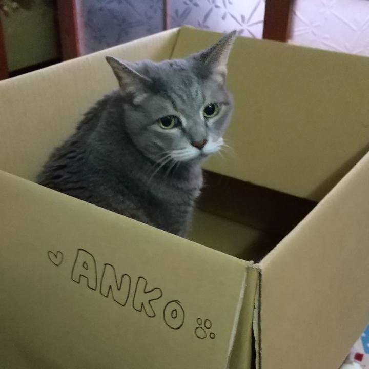 8a8977ef ecc5 4ced 8da2 1fcec26b9a2b 1599447285096