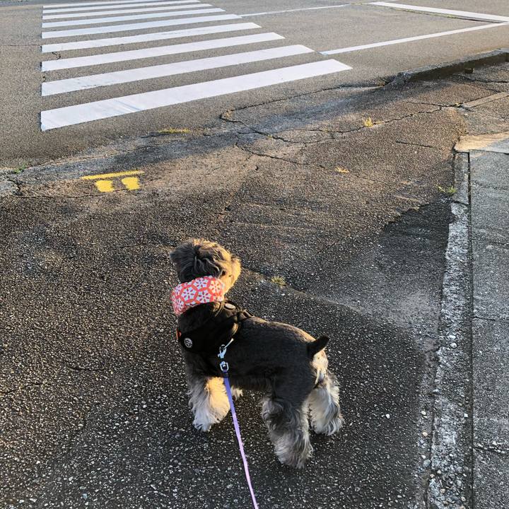 8a8a24a0 e044 4de9 838d 09fccefca749 1689504511191