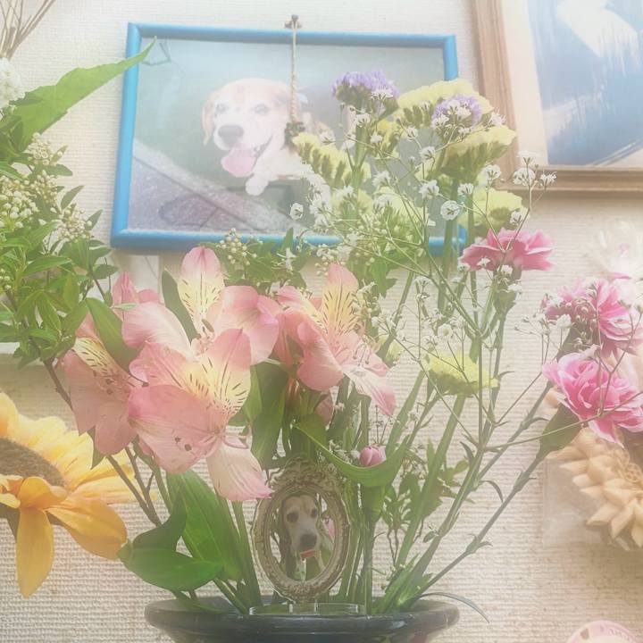 8a8a31c4 2f6a 4118 a253 aa1b1d6938c6 1713072653194