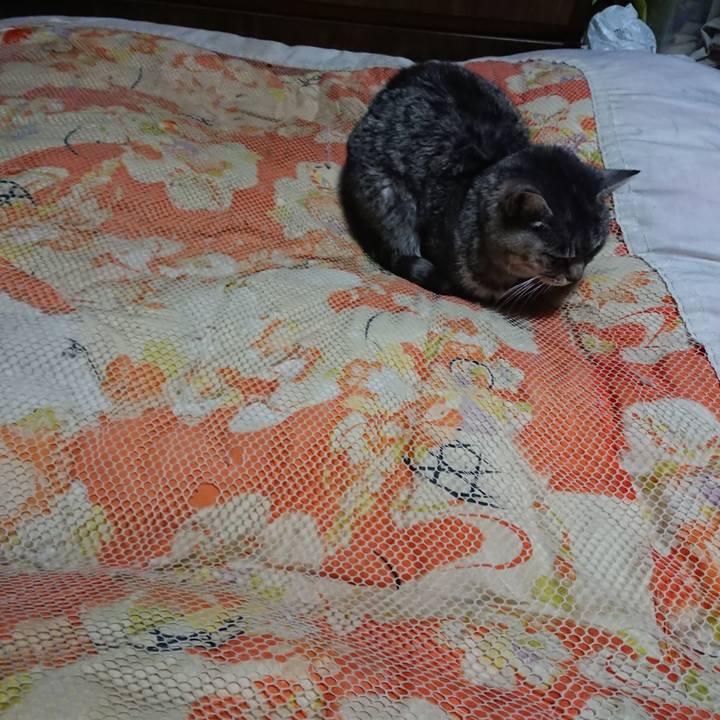 8a8a624f 8713 4cbe a5c8 50636f64dbbc 1577360858371