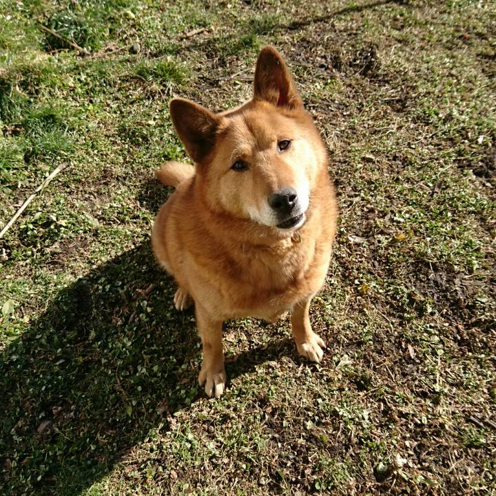 8a8a73f9 17f4 45c7 b39e 19bee7782b75 1546589438827