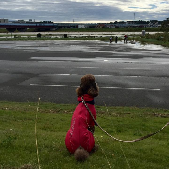 8a8a767f 69ec 4a27 8287 84baea898d20 1508737861858