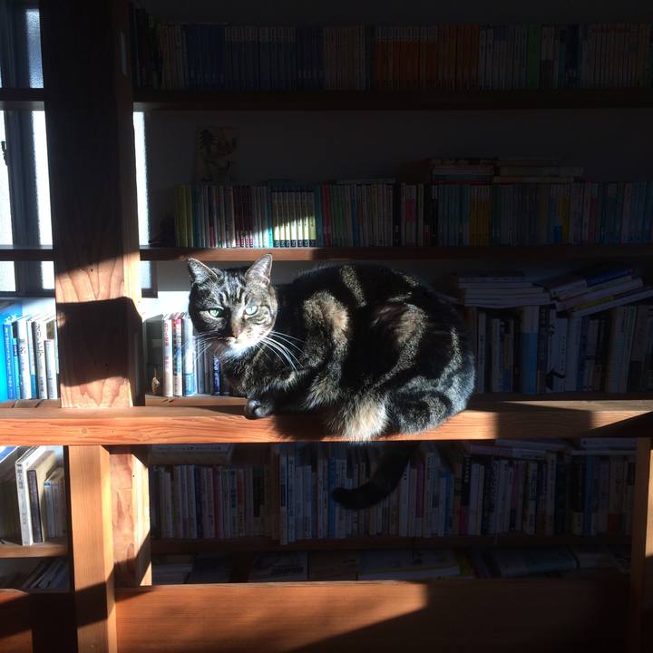 8a8a7c89 aa1a 4a2d aa3c b6fae0a6e6b3 1580512321797