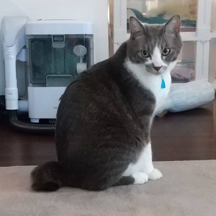 8a8a8090 5d32 41e3 83ec c87d753aa7b5 1616707327705